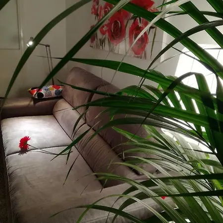 Apartment Palazzo Angelina